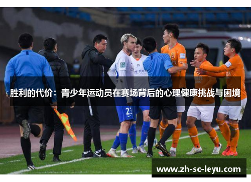 胜利的代价:青少年运动员在赛场背后的心理健康挑战与困境