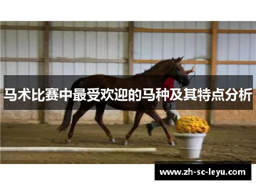 马术比赛中最受欢迎的马种及其特点分析 马术比赛中最受欢迎的马种及其特点分析