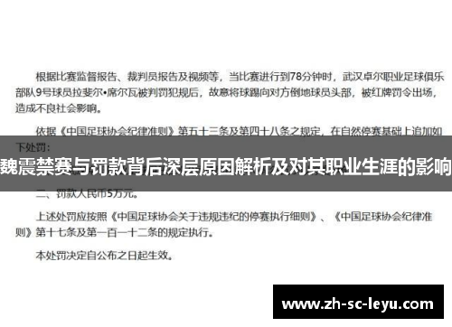 魏震禁赛与罚款背后深层原因解析及对其职业生涯的影响