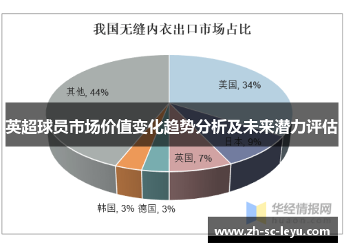 英超球员市场价值变化趋势分析及未来潜力评估 英超球员市场价值变化趋势分析及未来潜力评估