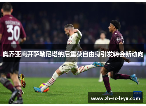 奥乔亚离开萨勒尼塔纳后重获自由身引发转会新动向 奥乔亚离开萨勒尼塔纳后重获自由身引发转会新动向