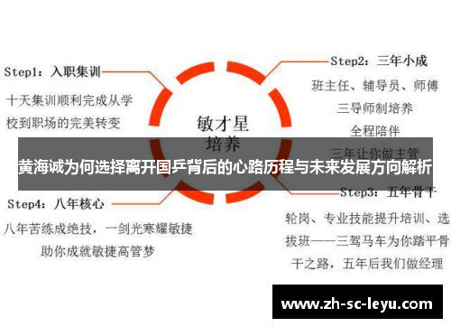 黄海诚为何选择离开国乒背后的心路历程与未来发展方向解析