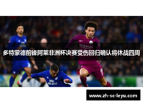 多特蒙德前锋阿莱非洲杯决赛受伤回归确认将休战四周